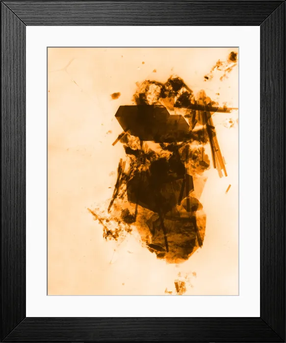 Framed Print : Asbestos fibers Framed Print : Asbestos fibers
