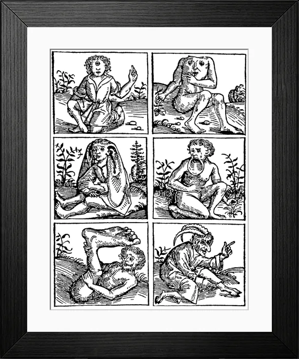 Framed Print : Monsters of Land, Sea and Air, 1475 Framed Print : Monsters of Land, Sea and Air, 1475