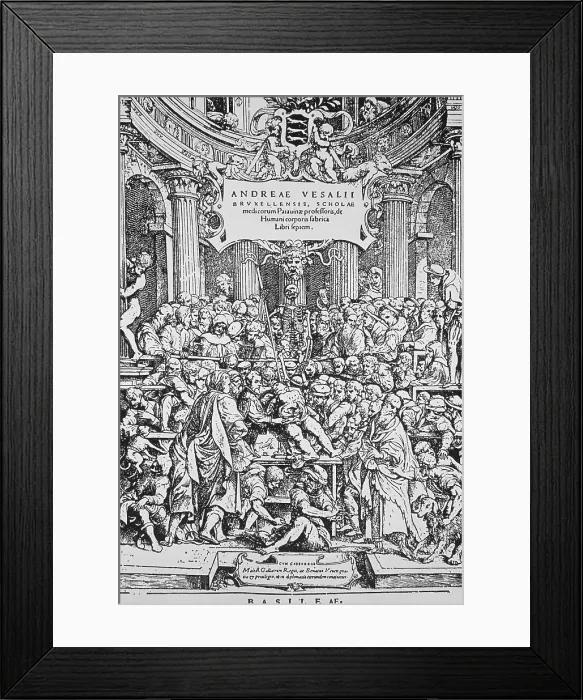 Framed Print : De Humani Corporis Fabrica, Vesalius, Renaissance Book of Anatomy, Dissection, Medicine