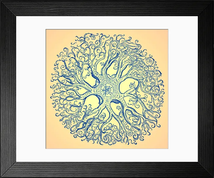 Framed Print : Gessner, Starfish, 16th Century Framed Print : Gessner, Starfish, 16th Century