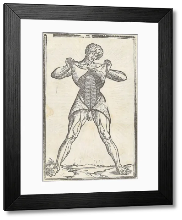 Framed Print : Jacopo Berengario da Carpi, Anatomy Framed Print : Jacopo Berengario da Carpi, Anatomy
