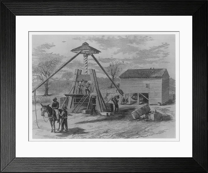 Framed Print : Short Staple Cotton Press Framed Print : Short Staple Cotton Press