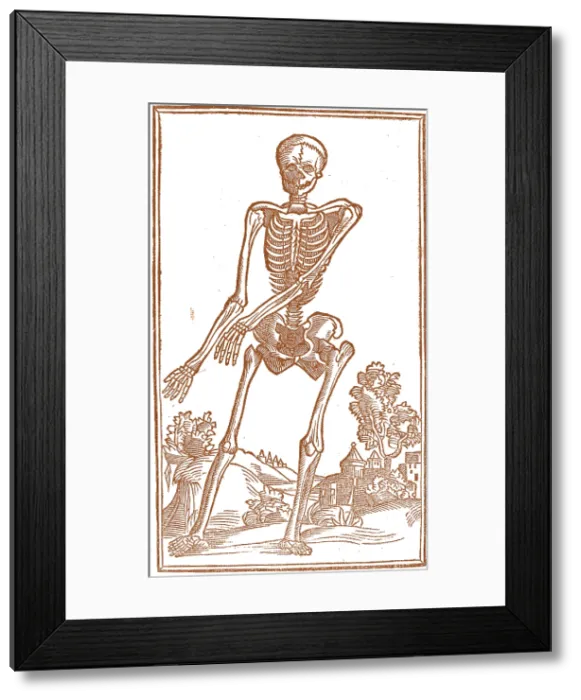 Framed Print : Jacopo Berengario da Carpi, Anatomy Framed Print : Jacopo Berengario da Carpi, Anatomy