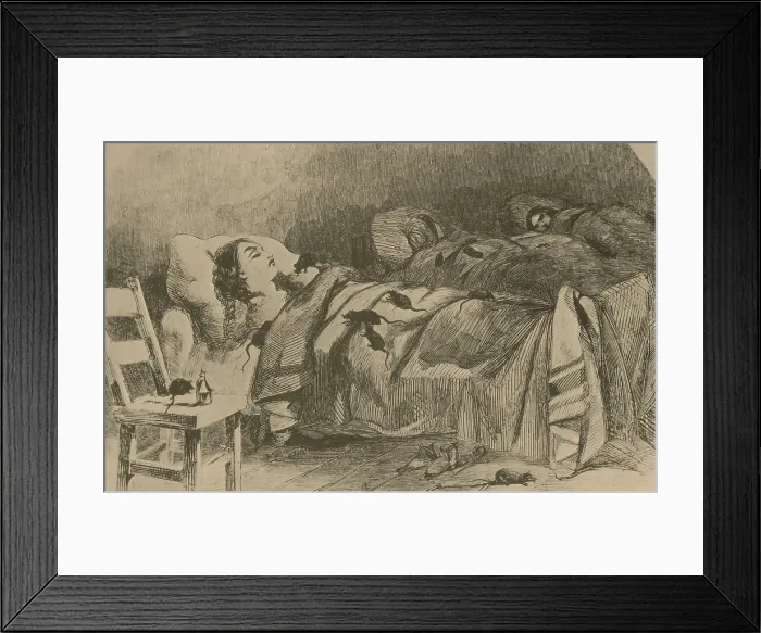 Framed Print : Conditions in Bellevue Hospital, New York Framed Print : Conditions in Bellevue Hospital, New York