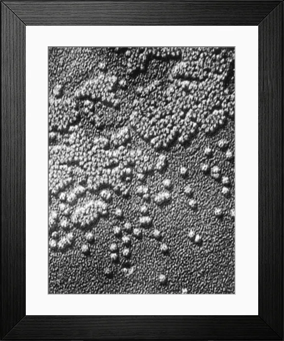 Framed Print : Hepatitis Virus Framed Print : Hepatitis Virus