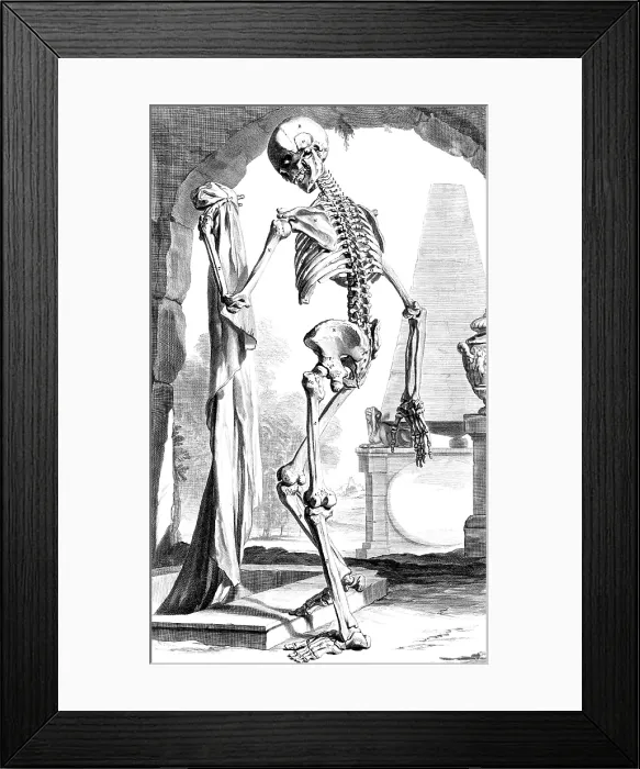 Framed Print : Anatomia humani corporis, Table 88, 1690 Framed Print : Anatomia humani corporis, Table 88, 1690
