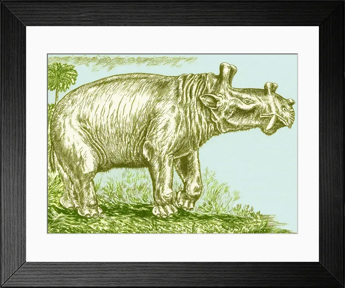 Framed Print : Eobasileus Framed Print : Eobasileus