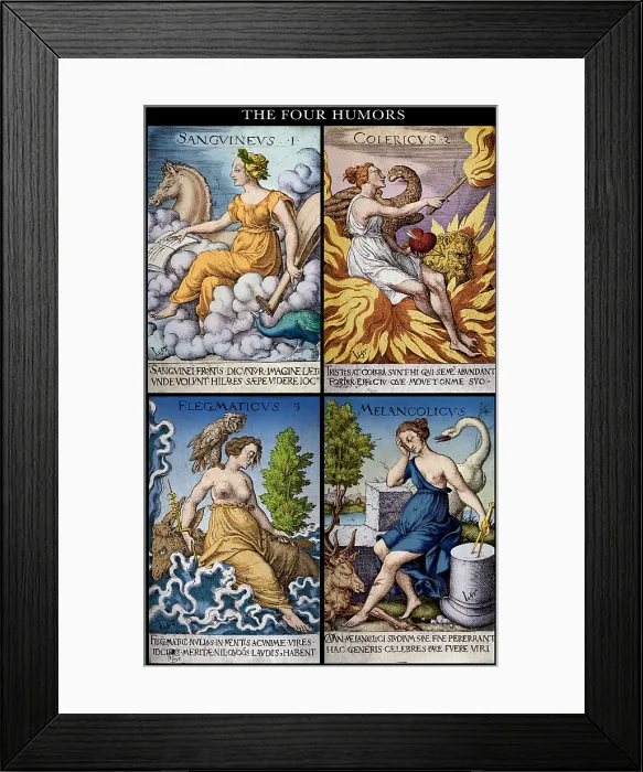 Framed Print : The Four Humors of Hippocratic Medicine