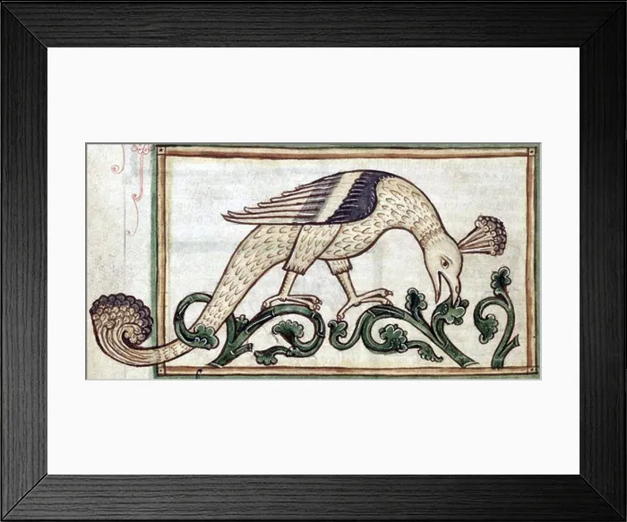 Framed Print : Phoenix, Legendary Creature Framed Print : Phoenix, Legendary Creature