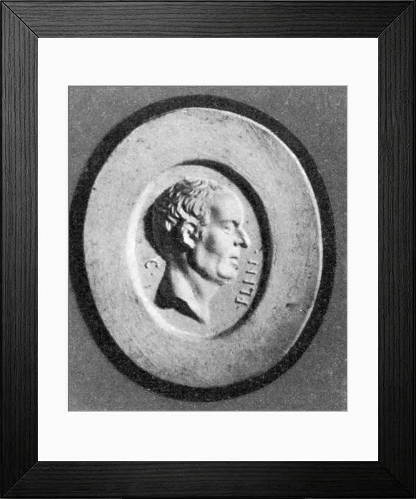 Framed Print : Pliny the Elder, Ancient Roman Naturalist Framed Print : Pliny the Elder, Ancient Roman Naturalist