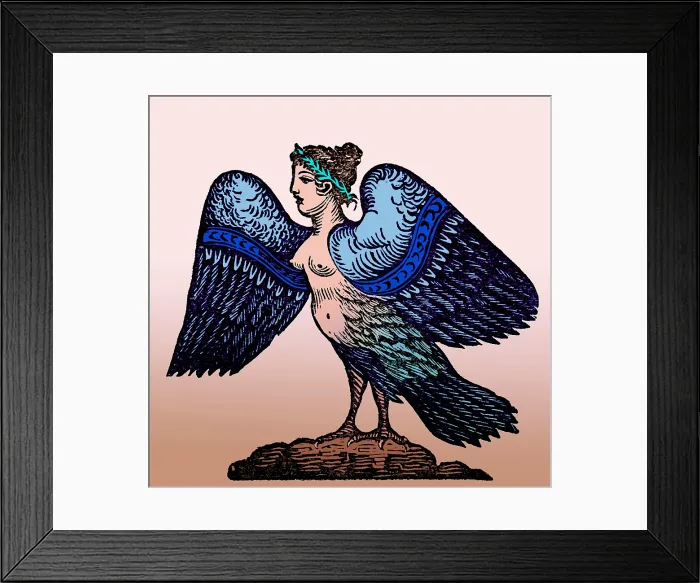 Framed Print : Harpy, Legendary Creature