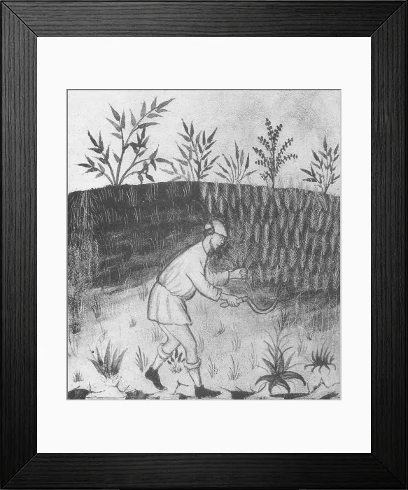 Framed Print : Agriculture, Medieval Farming