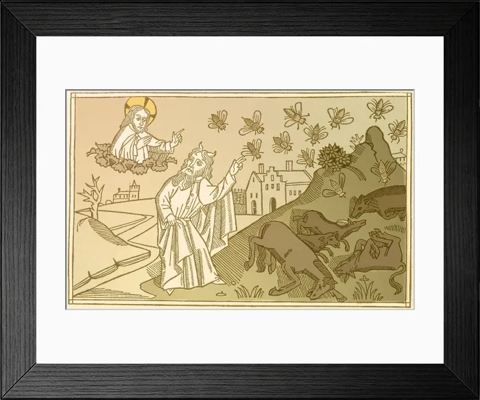 Framed Print : 5th Plague of Egypt, Diseased Livestock Framed Print : 5th Plague of Egypt, Diseased Livestock