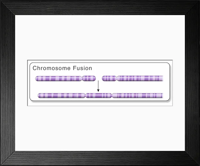 Framed Print : A Fusion Gene Framed Print : A Fusion Gene