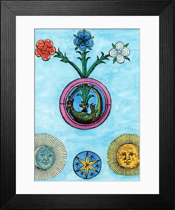 Framed Print : Alchemy Illustration Framed Print : Alchemy Illustration