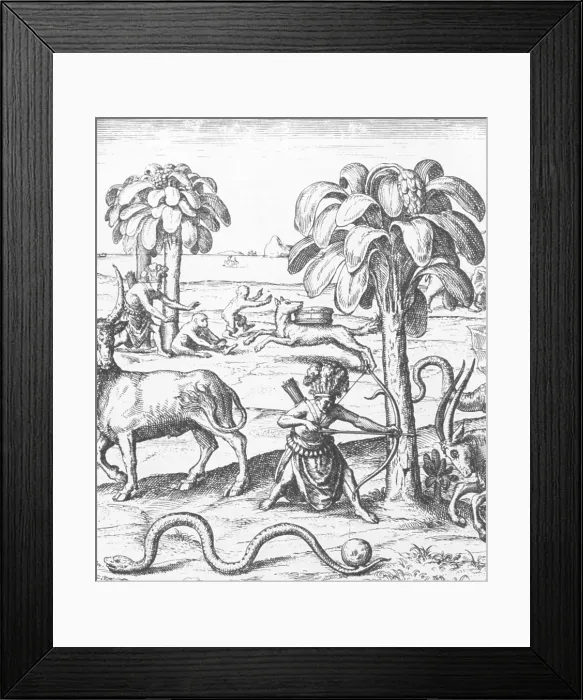 Framed Print : Early Exploration Framed Print : Early Exploration