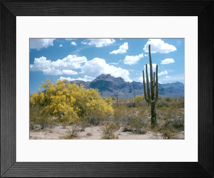 Framed Print : Superstition Mountains