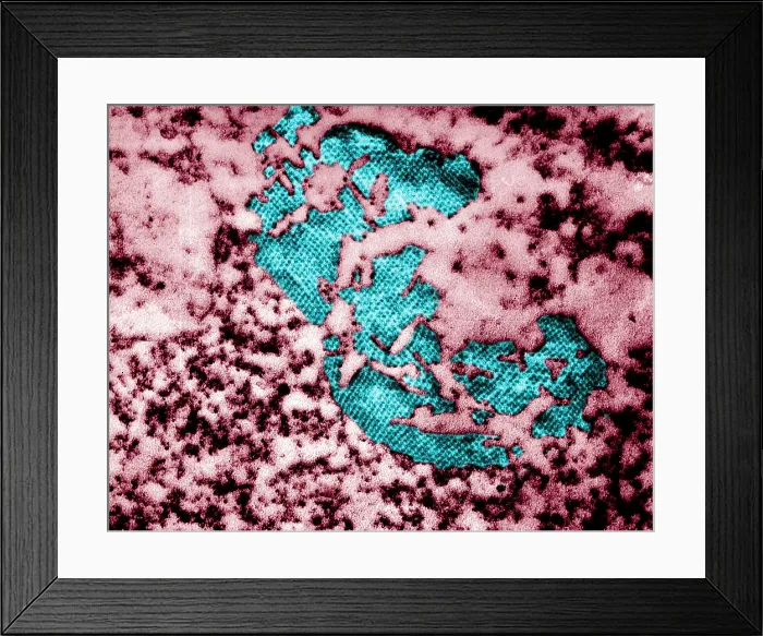 Framed Print : Human Enterovirus, Poliovirus, TEM Framed Print : Human Enterovirus, Poliovirus, TEM