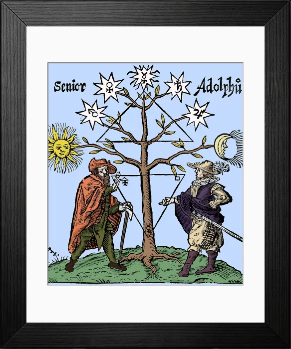 Framed Print : Alchemical Celestial Tree Framed Print : Alchemical Celestial Tree
