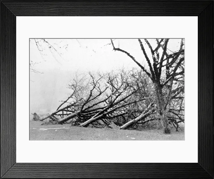 Framed Print : Dust Storm Damage, 1931