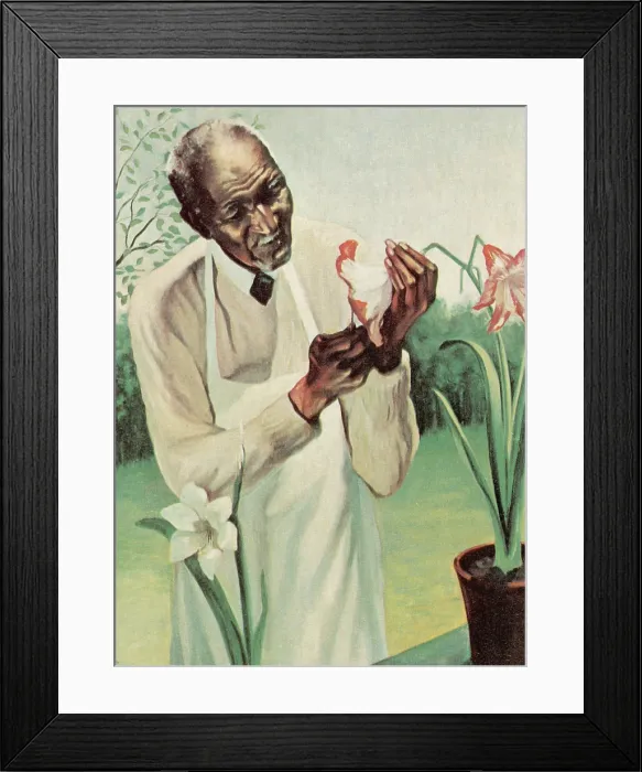 Framed Print : George W Carver, American Botanist, Black History Framed Print : George W Carver, American Botanist, Black History