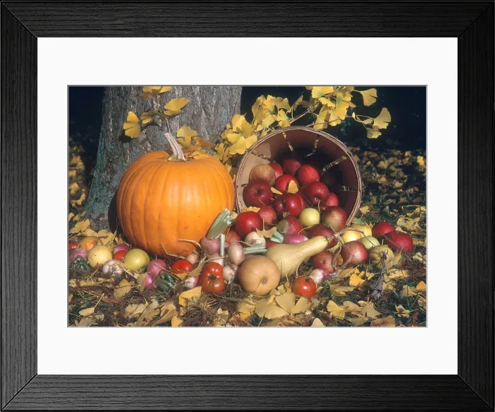 Framed Print : Autumn Still Life