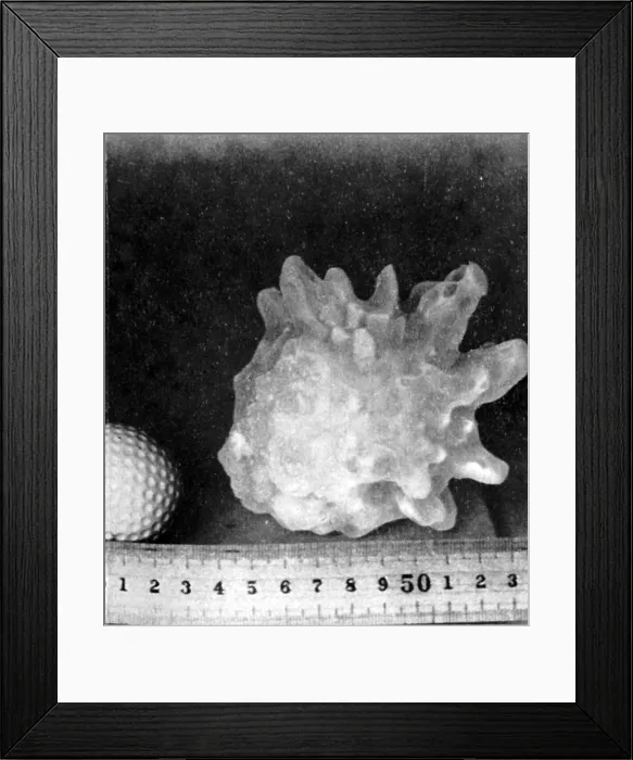 Framed Print : Hailstone, 1953 Framed Print : Hailstone, 1953