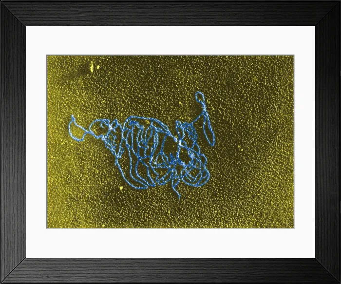 Framed Print : Polymerase Reaction, DNA with E. coli RNA, TEM Framed Print : Polymerase Reaction, DNA with E. coli RNA, TEM