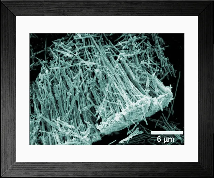 Framed Print : Metal-oxide Nanotubes, under a microscope (SEM) Framed Print : Metal-oxide Nanotubes, under a microscope (SEM)