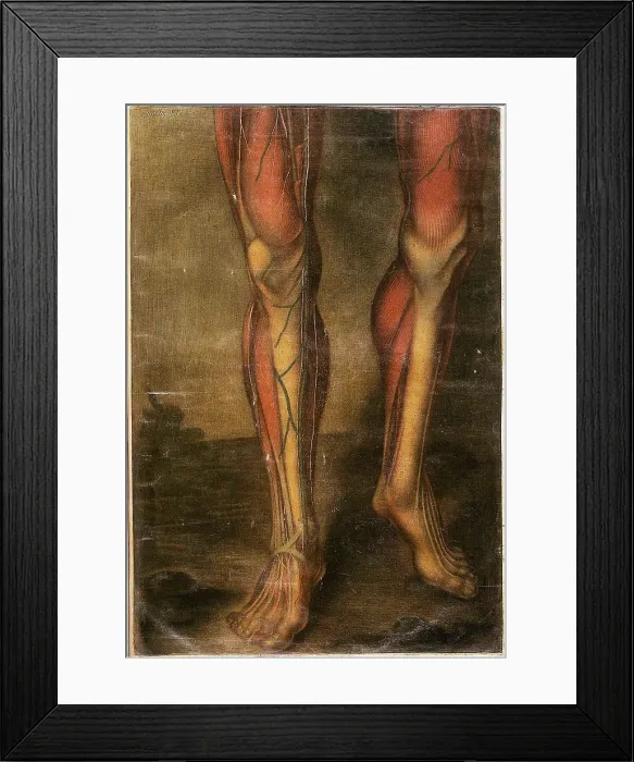 Framed Print : Anatomie Generale Des Visceres