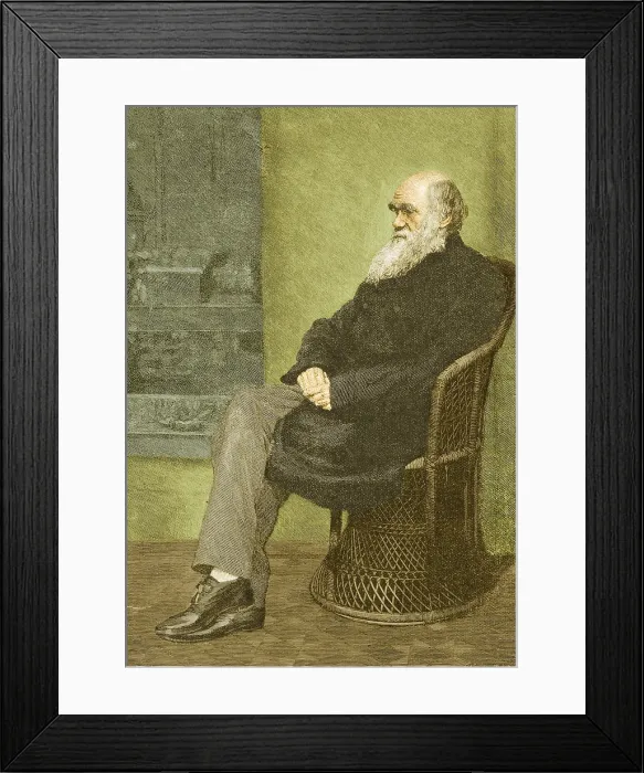 Framed Print : Charles Darwin, English Naturalist