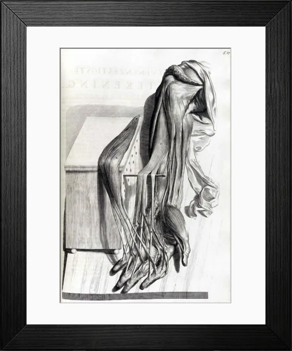 Framed Print : Anatomia humani corporis, Table 67, 1690 Framed Print : Anatomia humani corporis, Table 67, 1690