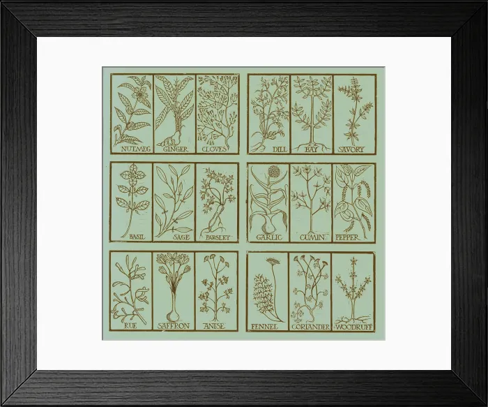 Framed Print : Edible herbs Framed Print : Edible herbs