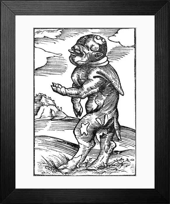 Framed Print : Monk Calf, Reformation Monster Framed Print : Monk Calf, Reformation Monster