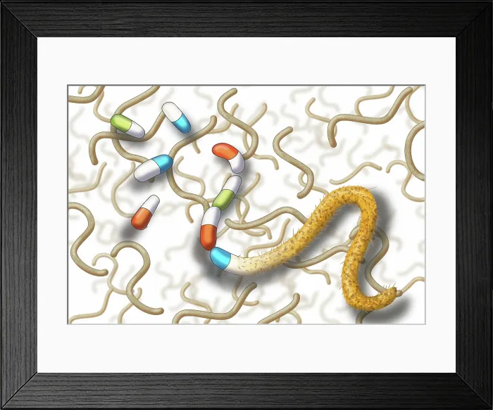 Framed Print : Antibiotic Resistant Bacteria, Illustration Framed Print : Antibiotic Resistant Bacteria, Illustration