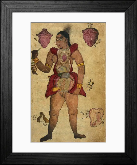 Framed Print : Akbar's Medicine, Persian Anatomical Woman Framed Print : Akbar's Medicine, Persian Anatomical Woman