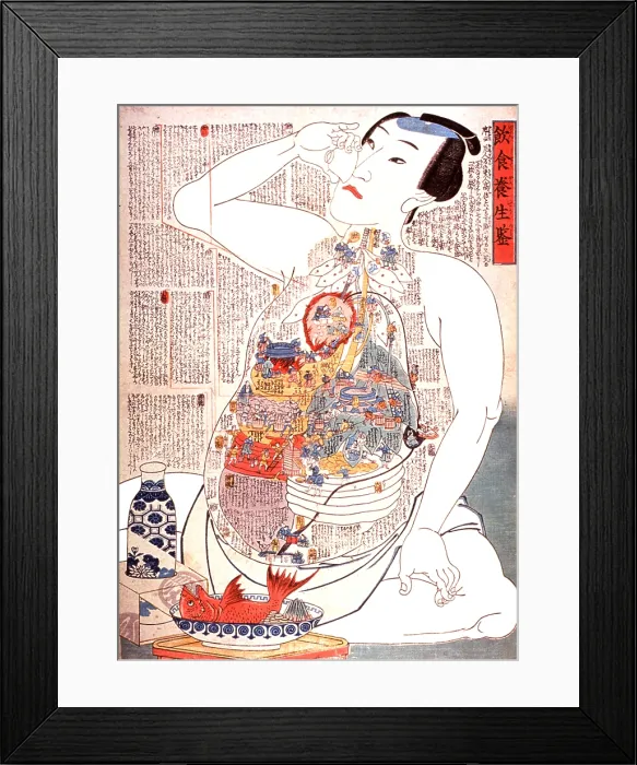 Framed Print : Digestive System, 19th Century