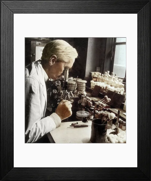 Framed Print : Alexander Fleming, Scottish Biologist Framed Print : Alexander Fleming, Scottish Biologist