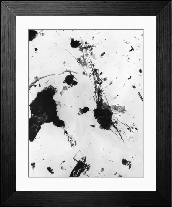 Framed Print : Asbestos fibers Framed Print : Asbestos fibers