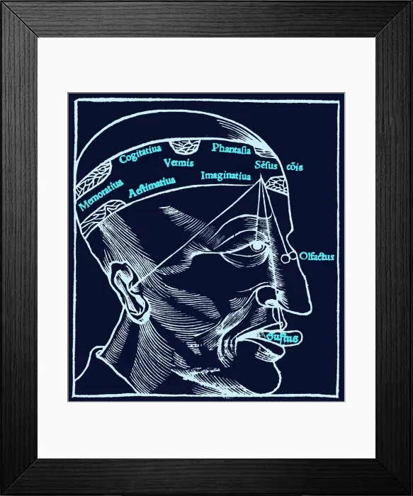 Framed Print : Senses and Sensation, 16th Century Framed Print : Senses and Sensation, 16th Century