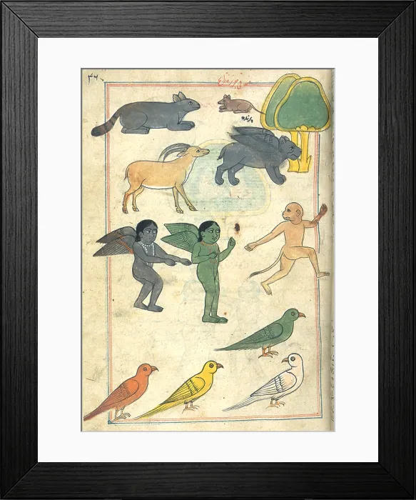 Framed Print : Creatures from the Island of Zanj, 17th Century Framed Print : Creatures from the Island of Zanj, 17th Century