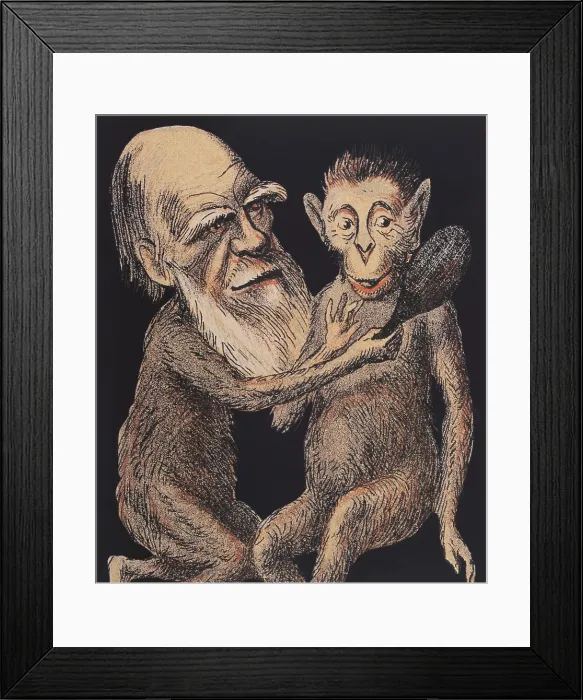 Framed Print : Charles Darwin Caricature Framed Print : Charles Darwin Caricature