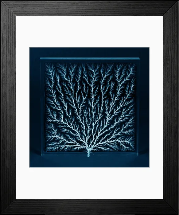 Framed Print : Electron Tree or Lichtenberg Figure