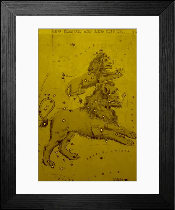 Framed Print : Leo Major and Leo Minor, 19th Century Framed Print : Leo Major and Leo Minor, 19th Century