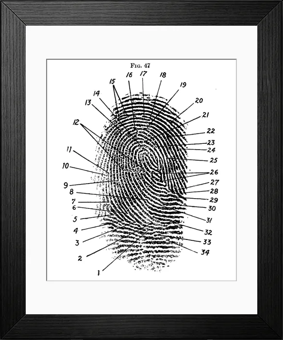 Framed Print : Fingerprint Diagram, 1940 Framed Print : Fingerprint Diagram, 1940