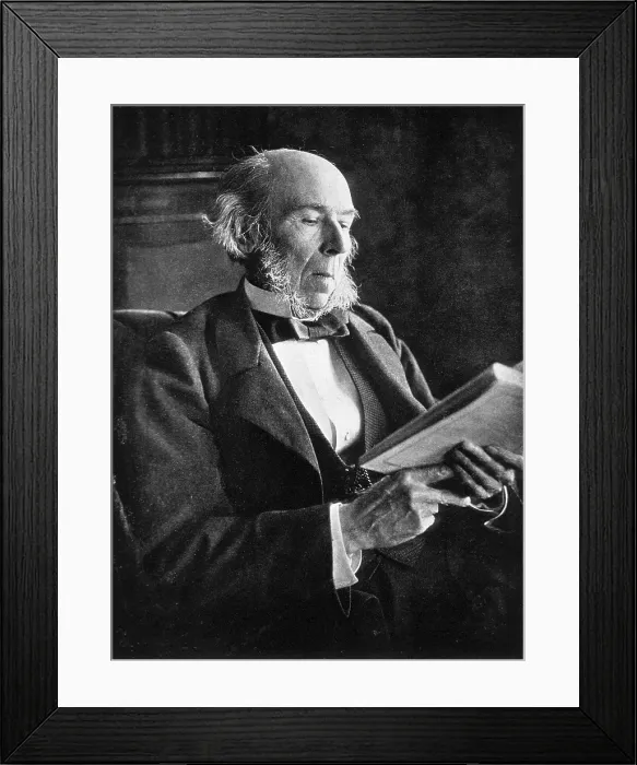 Framed Print : Herbert Spencer, English Polymath Framed Print : Herbert Spencer, English Polymath