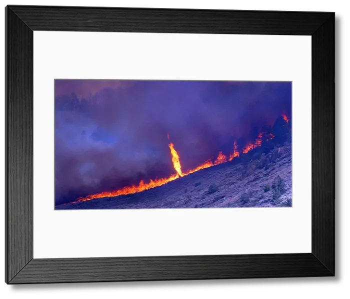 Framed Print : Jackson Canyon Fire, 2006 Framed Print : Jackson Canyon Fire, 2006