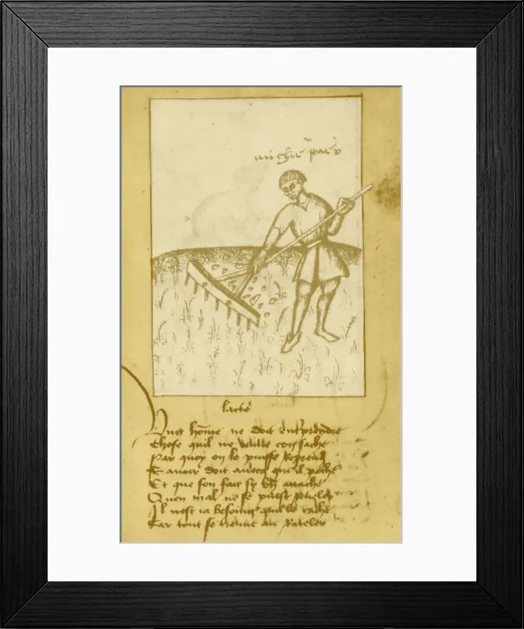 Framed Print : Agriculture, 15th Century