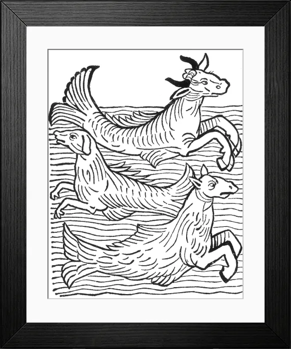 Framed Print : Hortus Sanitatis, Legendary Sea Creatures, 15th Century Framed Print : Hortus Sanitatis, Legendary Sea Creatures, 15th Century