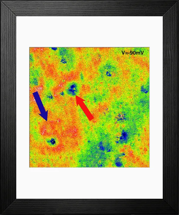 Framed Print : Graphene, Interference Patterns, STM Framed Print : Graphene, Interference Patterns, STM
